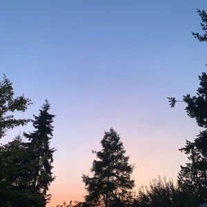 Meet your Posher, Sonali